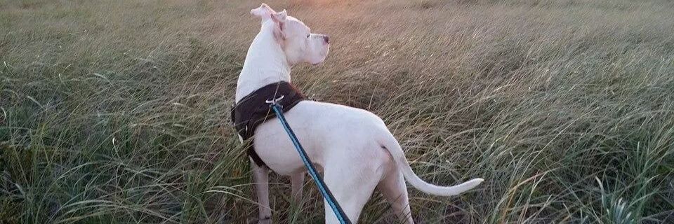 CMccollim's profile banner image