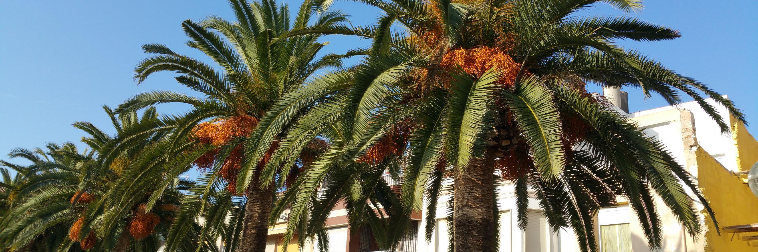 Helen Hall 🇺🇦 banner