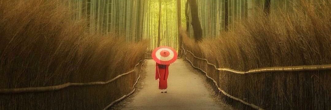 Prof Aneta D. Tunariu banner