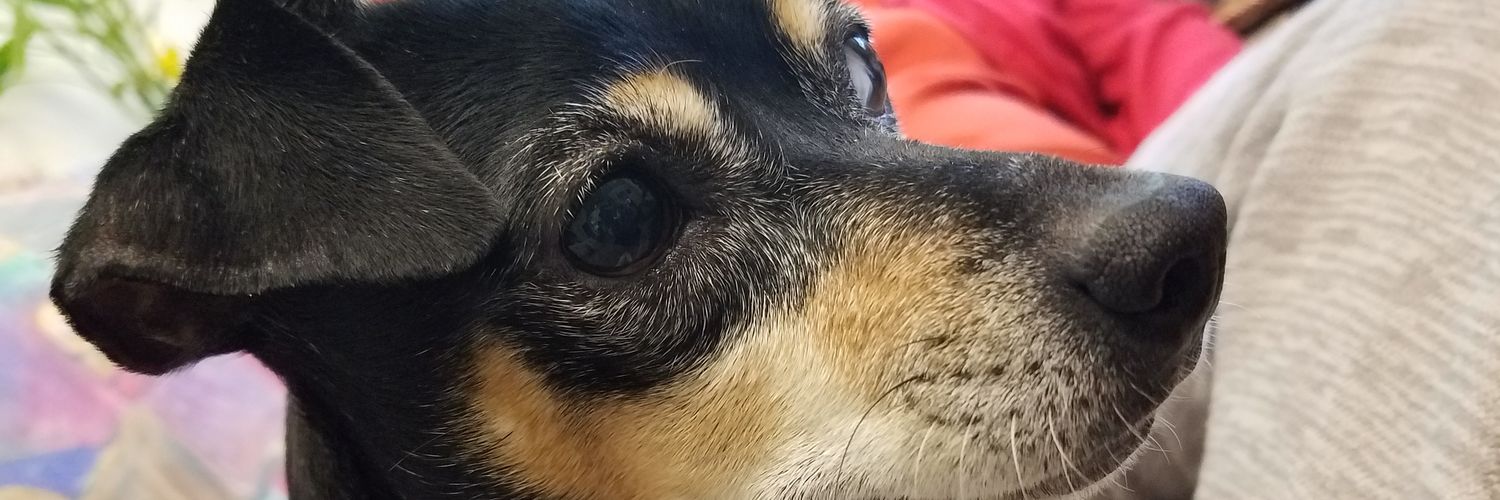 chefprecious9's profile banner image