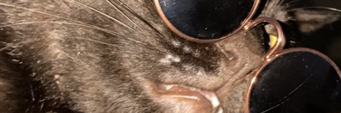_laaarisa's profile banner image