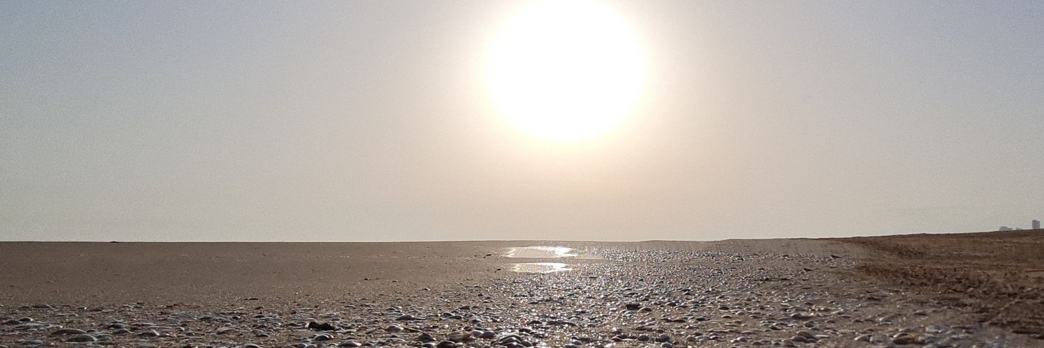 Carol Zaldivar 💚 banner