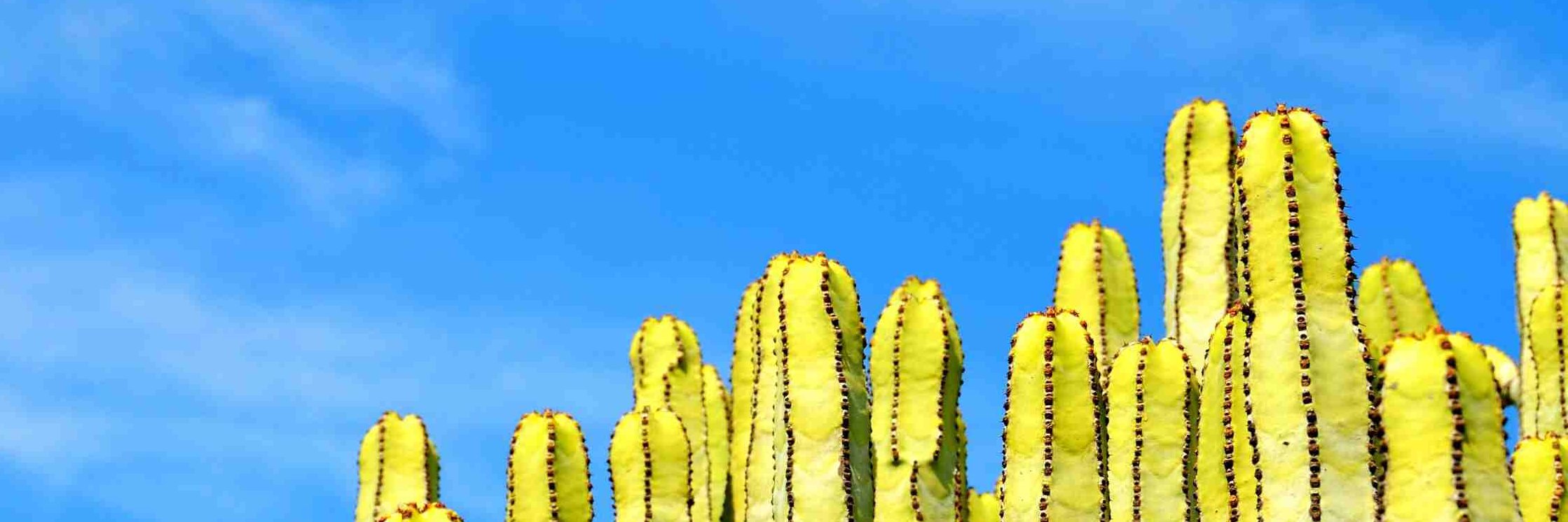 jaredgruner's profile banner image