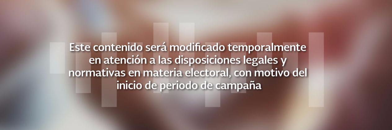 Mariano Palacios banner