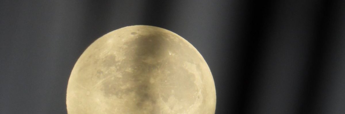 elizabethrb99's profile banner image