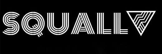 squall_online's profile banner image