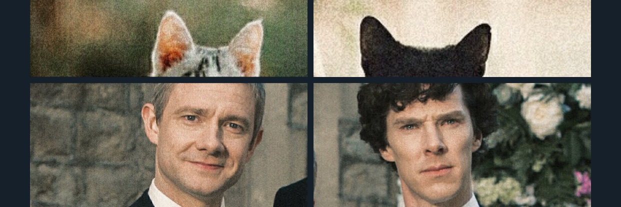 acitr_'s profile banner image