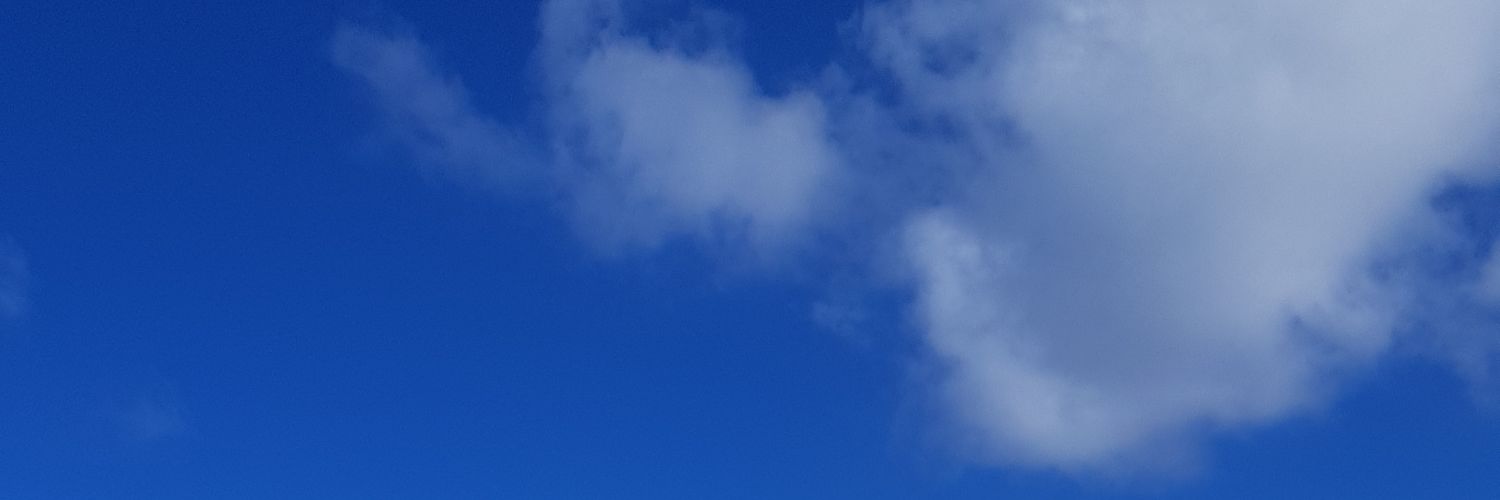 ElFabiFabs's profile banner image
