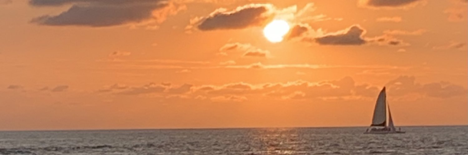 B.R. banner