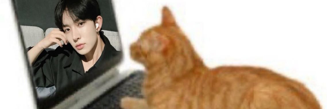 writtenaomi's profile banner image