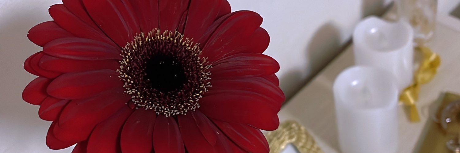 konooomi22's profile banner image