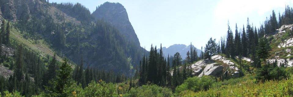 Mere_Jeanne's profile banner image