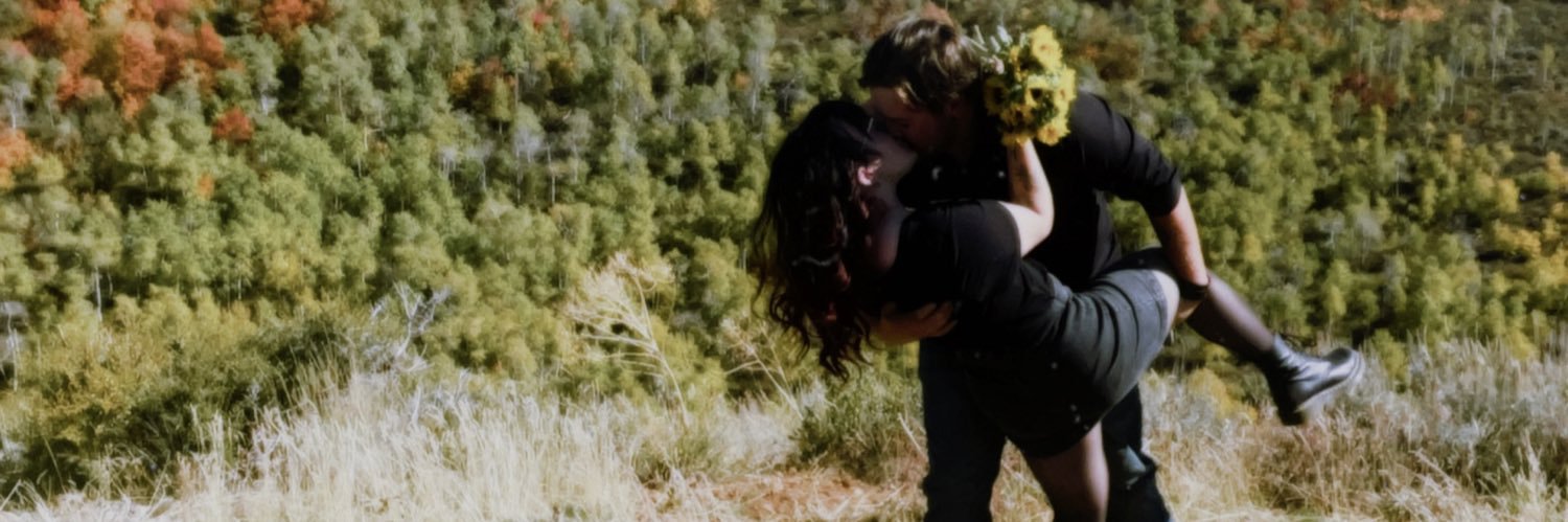 desiree westergard banner