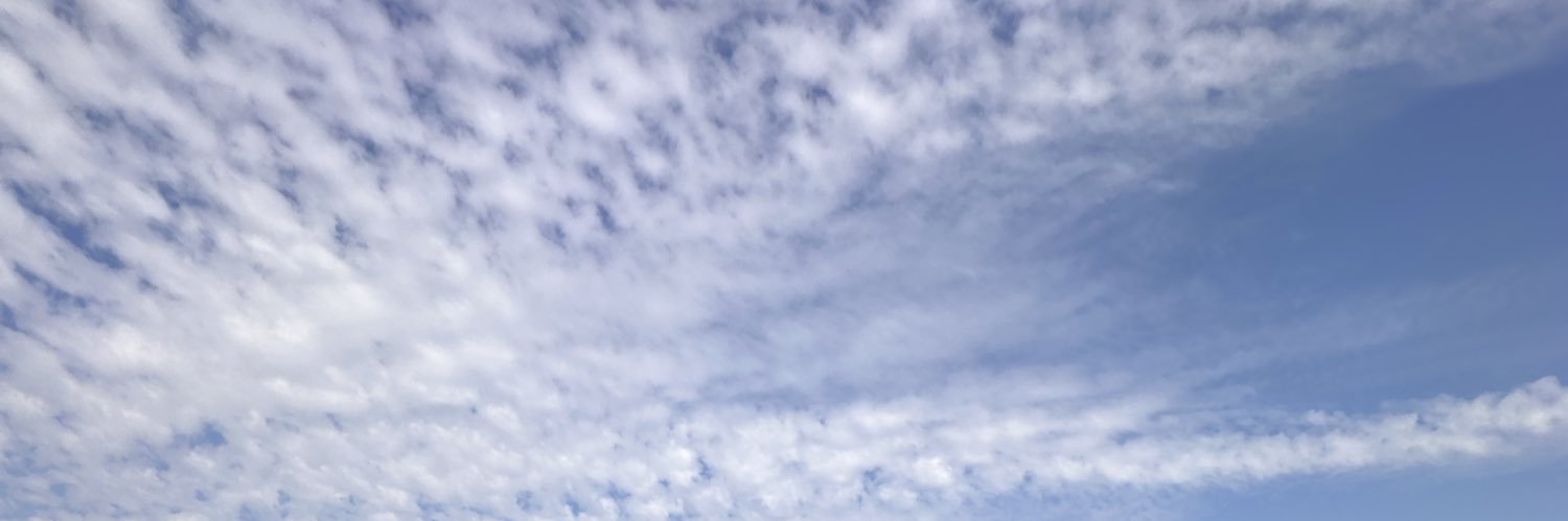 tavoha94's profile banner image