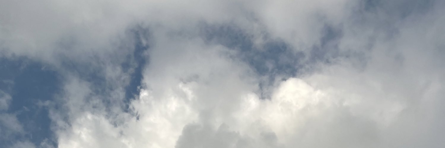 FrancesLape's profile banner image