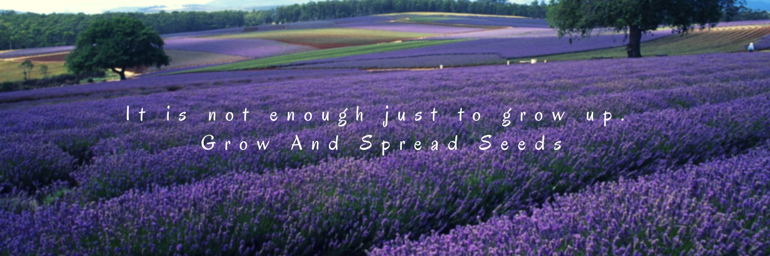 QuaWanna Bannarbie banner