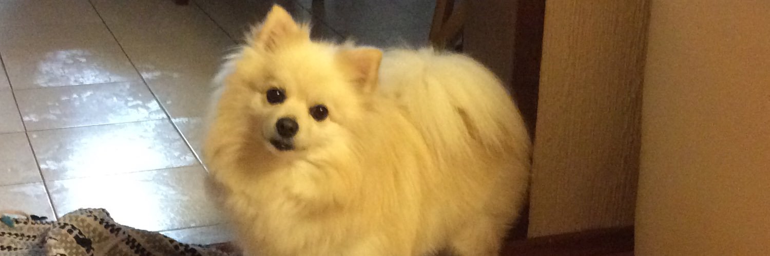 muzzymel's profile banner image