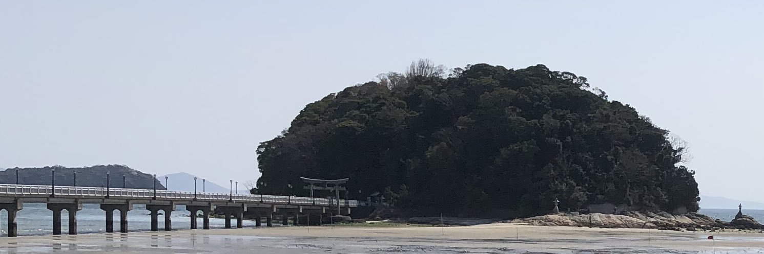 misakura_panda's profile banner image