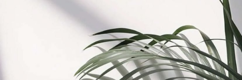 ro_4u's profile banner image