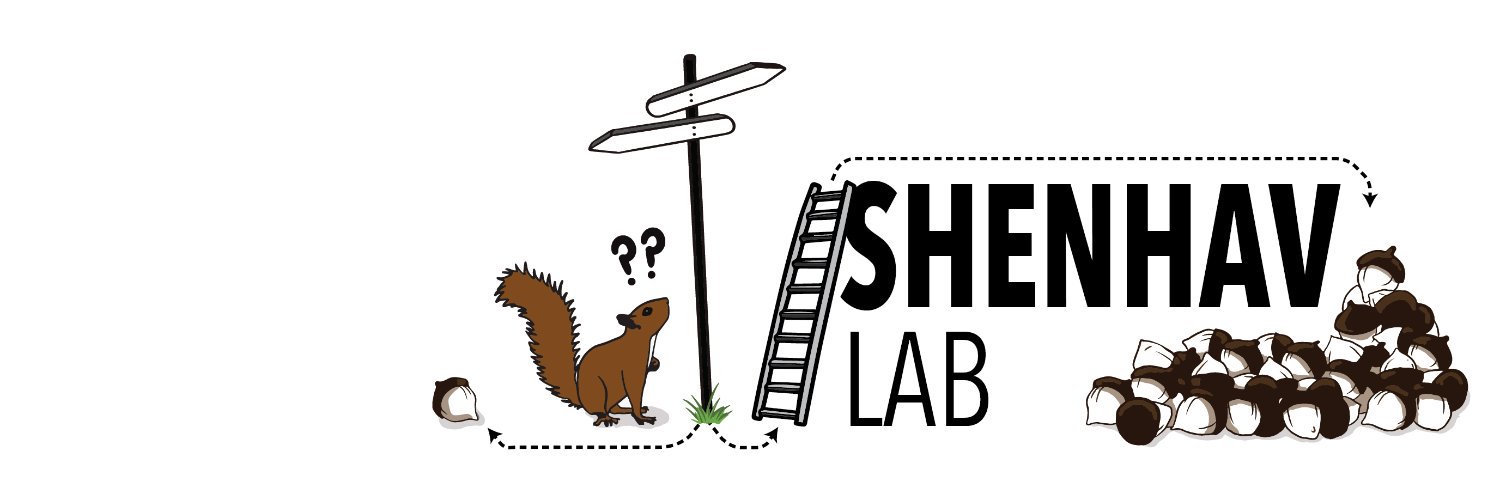 Shenhav Lab's banner