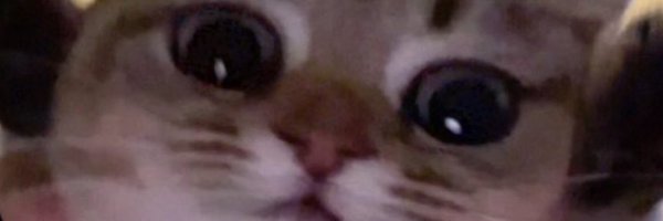 shalashaskagf Profile Banner