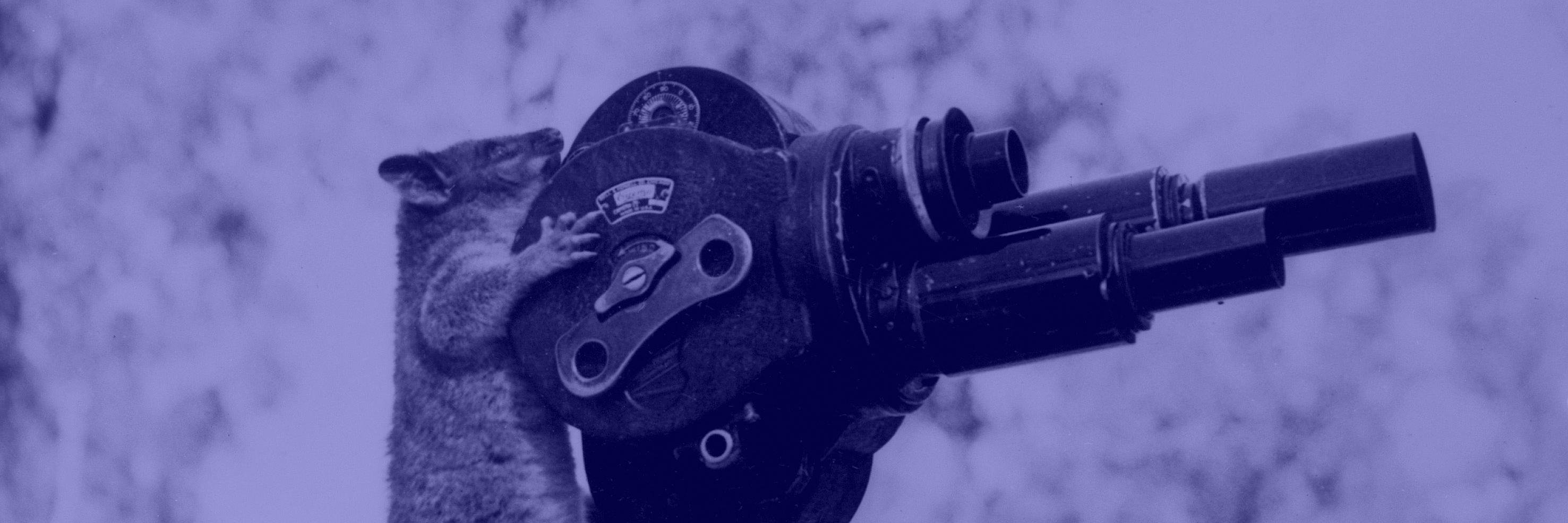 ShermanOaksFilmFest banner