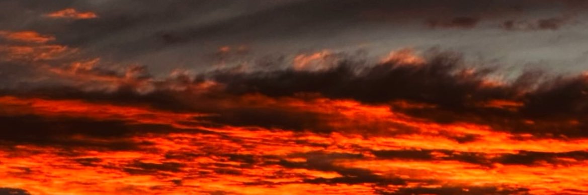 Ivannia_Chavira's profile banner image