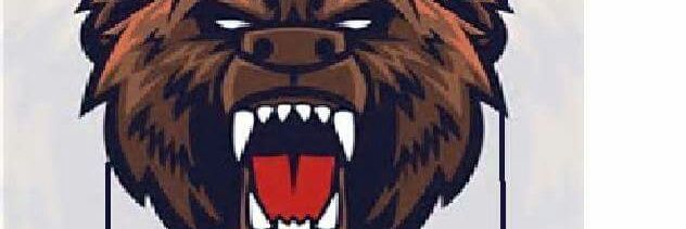 SwiftyzXL3's profile banner image