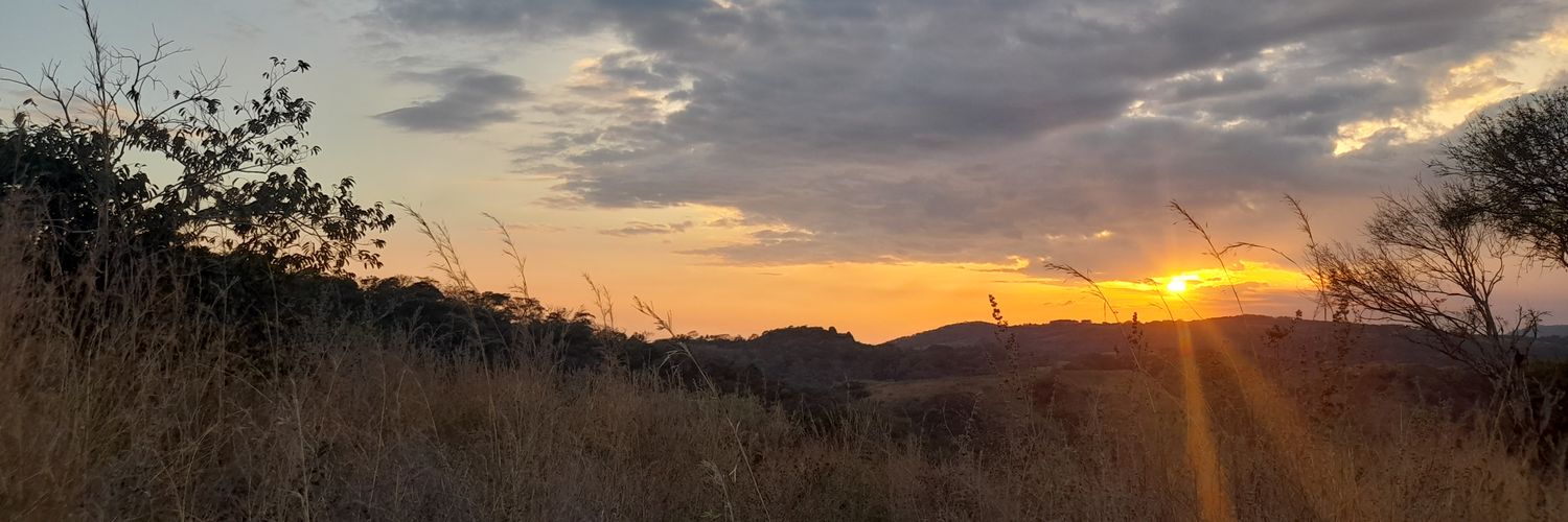 winnzeg's profile banner image