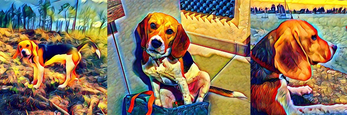 crypto_max_sre's profile banner image