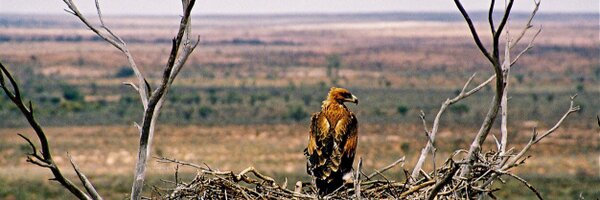 flissmcleod Profile Banner