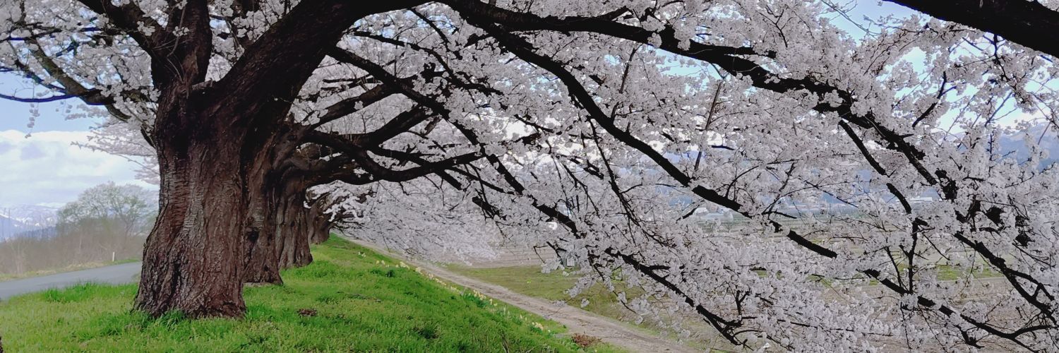 moonskyshow's profile banner image