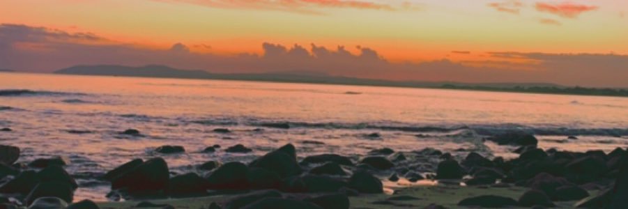 EM ✨ banner