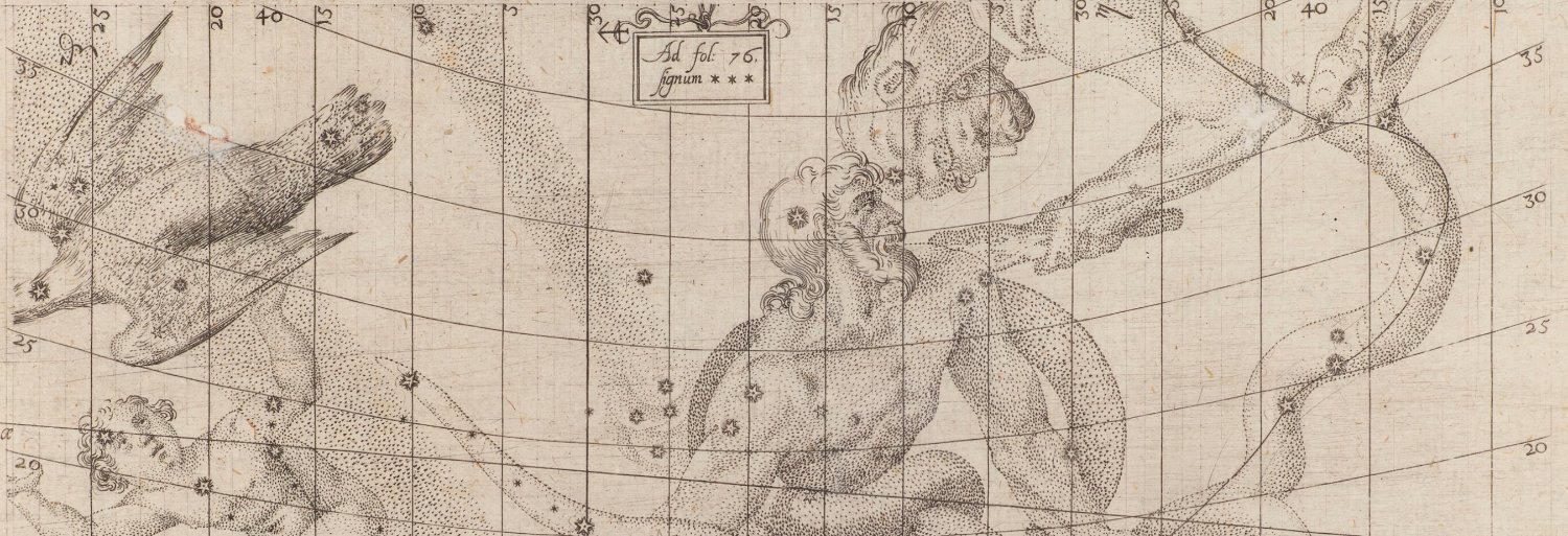 LauraWalkerKC@counter.social banner