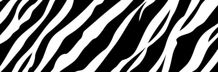Bus Station Zebra banner