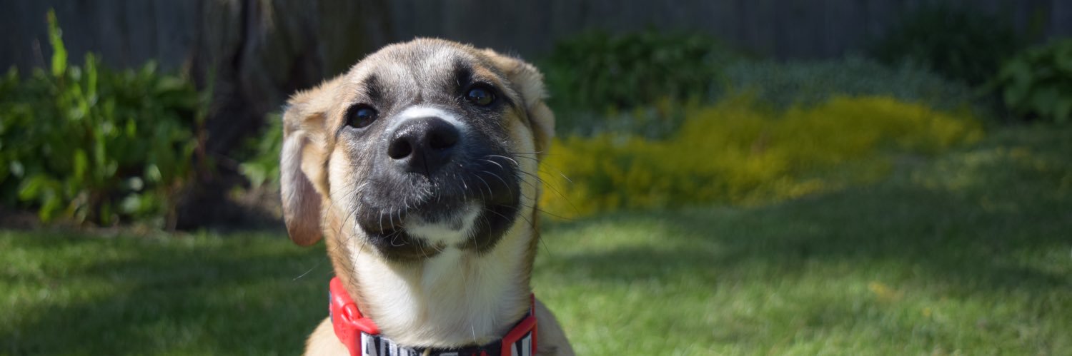 Tyler Campbell banner