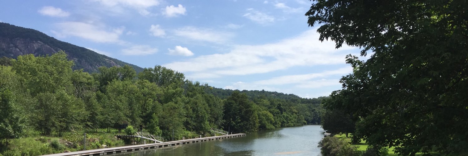 whatwentwrite's profile banner image