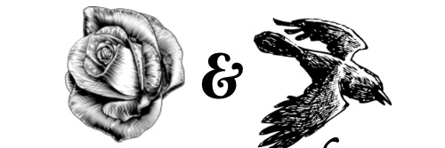 DRaineged's profile banner image