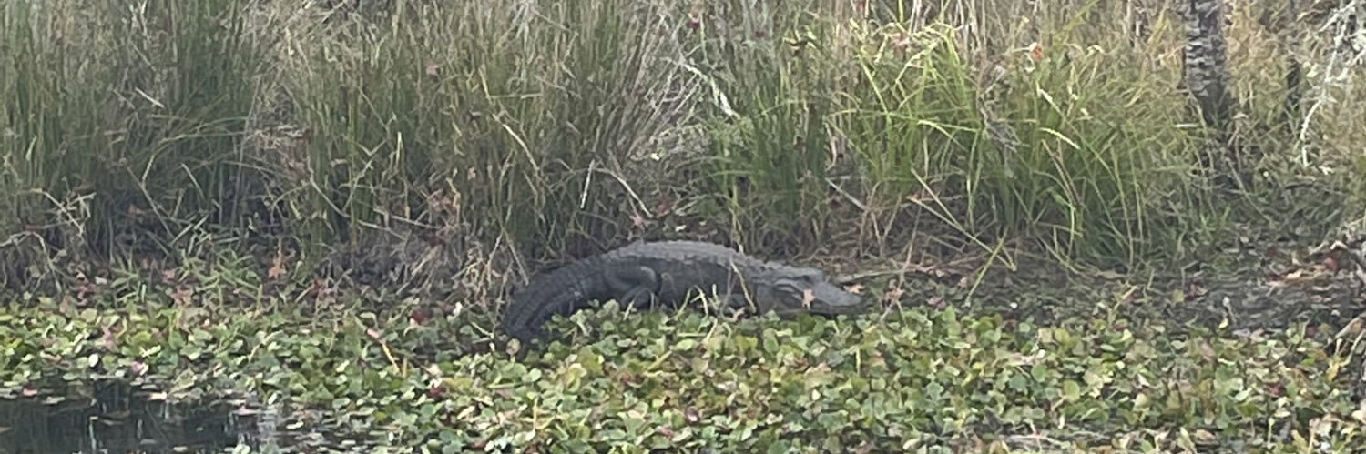 Dillon Rodriguez banner