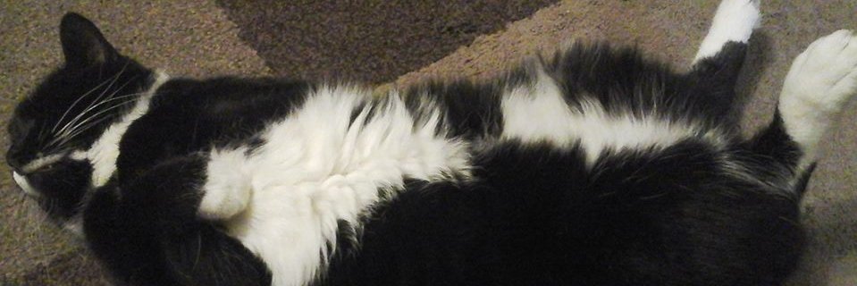 Phillip Newhouse banner