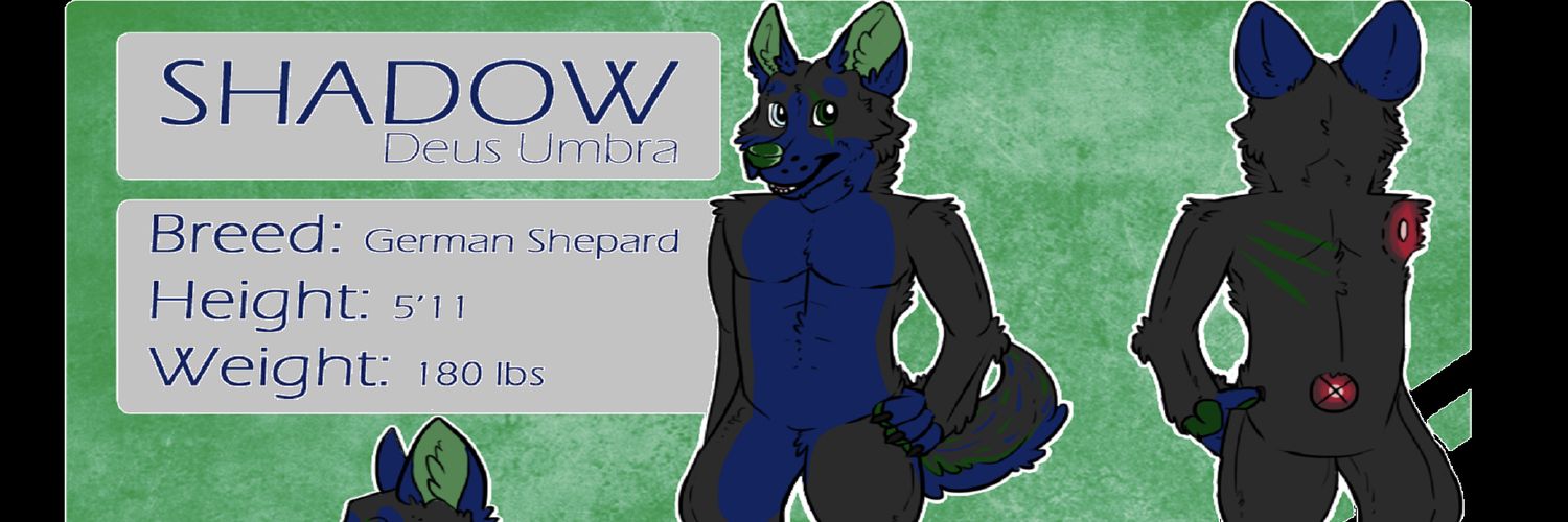 Naughty Shadow banner