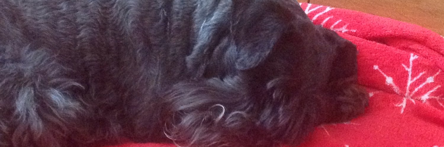 Mrs A & Nellie, Princess Marlow OTRB 🐾🐶🌈 banner