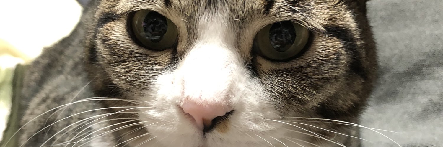 obun0263's profile banner image