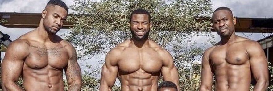 Soytu Pop Hav banner