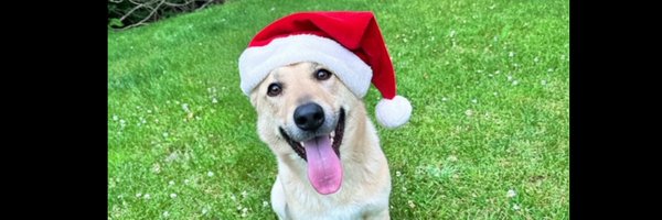 General_Oluchi Profile Banner