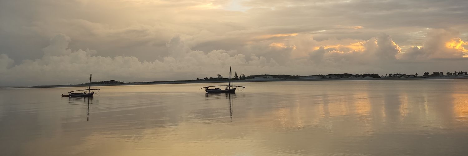 Infelizmind's profile banner image