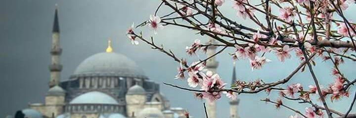 sc_6638's profile banner image