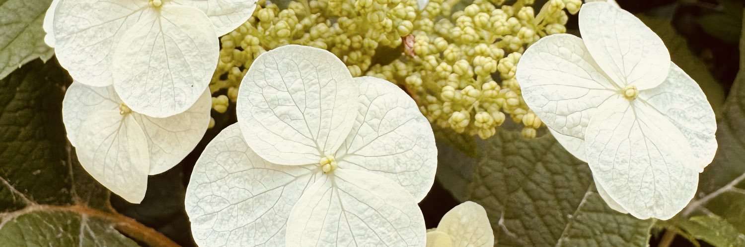 mnv0718's profile banner image