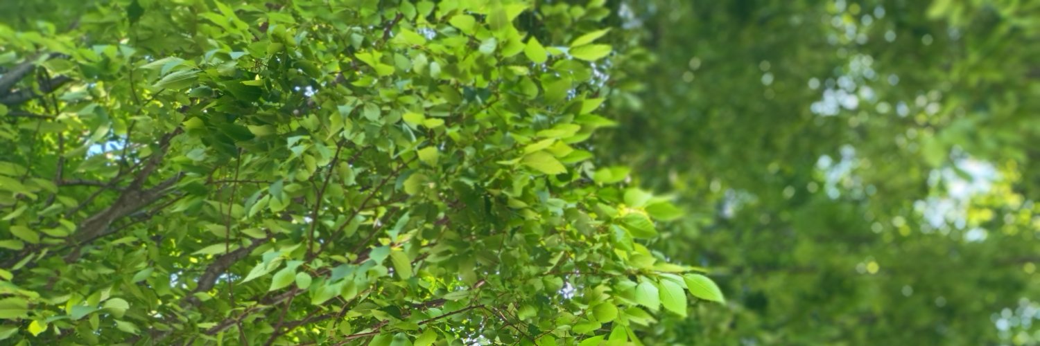 YUI_NS's profile banner image