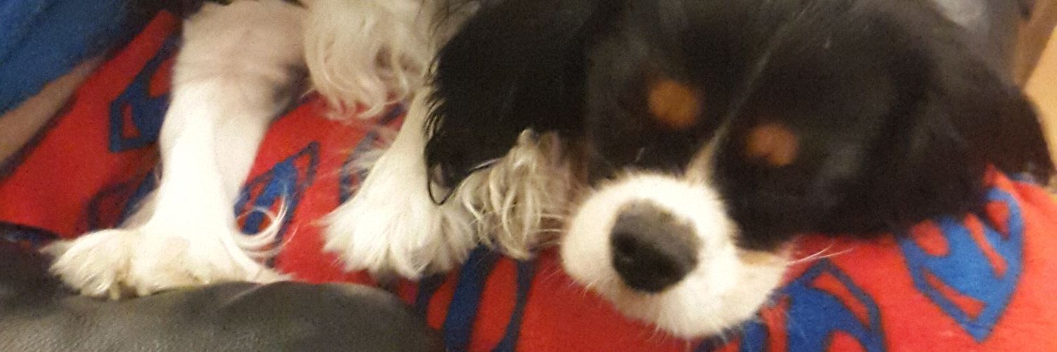 jodiesummer7's profile banner image